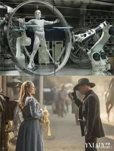 西部世界谁是真正人类