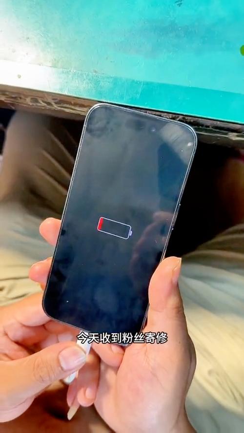手机进水显示不出画面