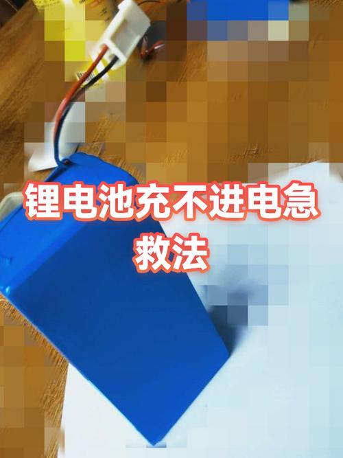 锂电池放久了充不了电怎么办