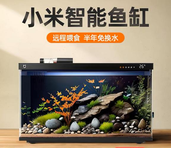 小米鱼缸wifi在哪里打开