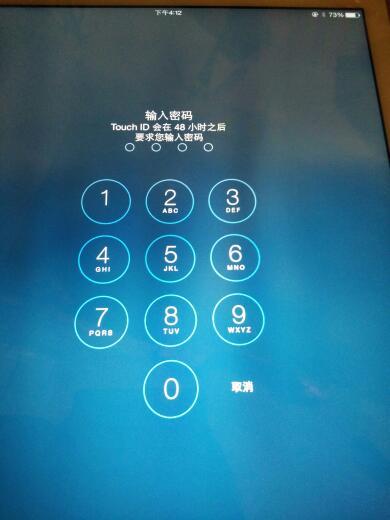 ipad 输入旧密码