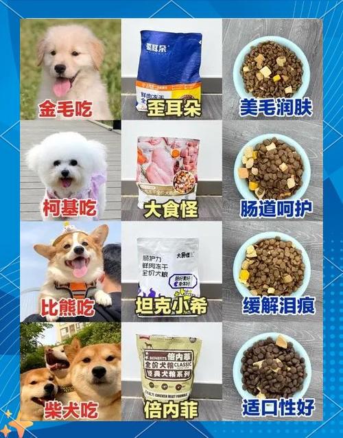 狗粮的正确食用方法