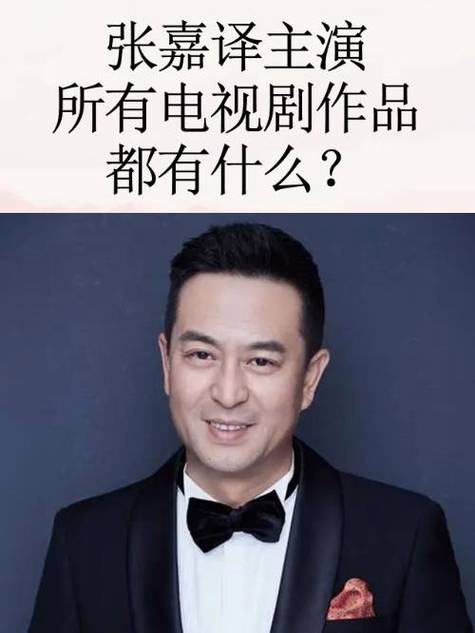 张嘉译的电视剧