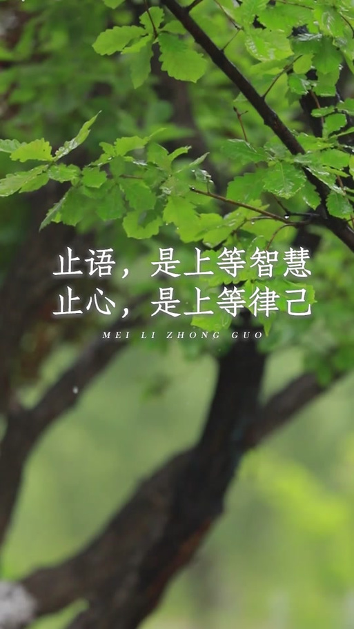 止语,止念,止心,下联是什么截图2