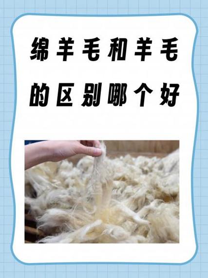 全羊毛和绵羊毛的区别在哪里截图3
