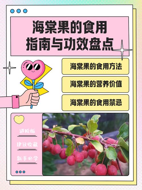 海棠果的正确食用方法