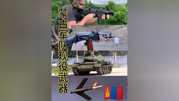 蒙古国可以私有枪支商店截图3