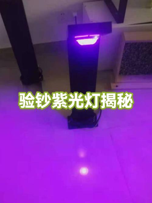 紫光灯和验钞灯是一样的吗
