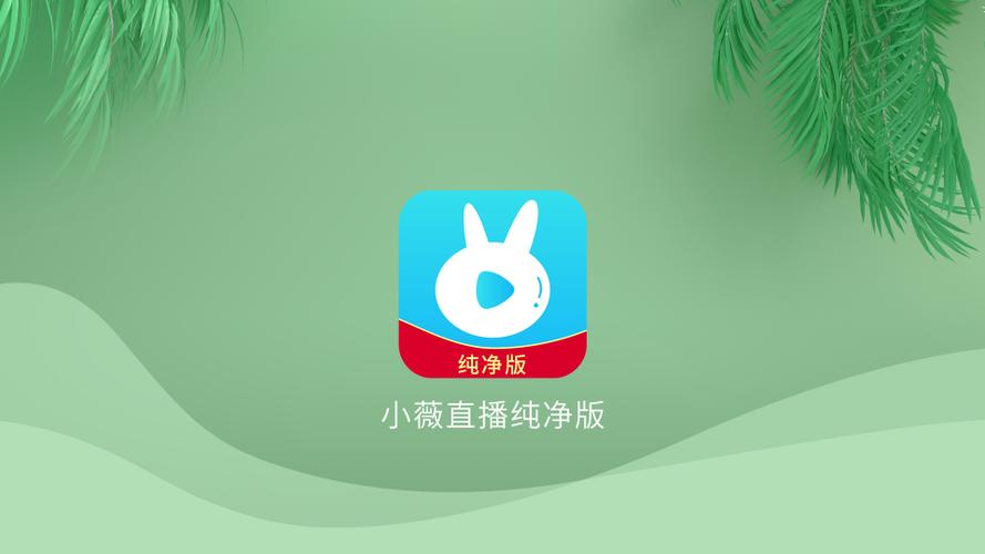 小薇电视直播官网下载