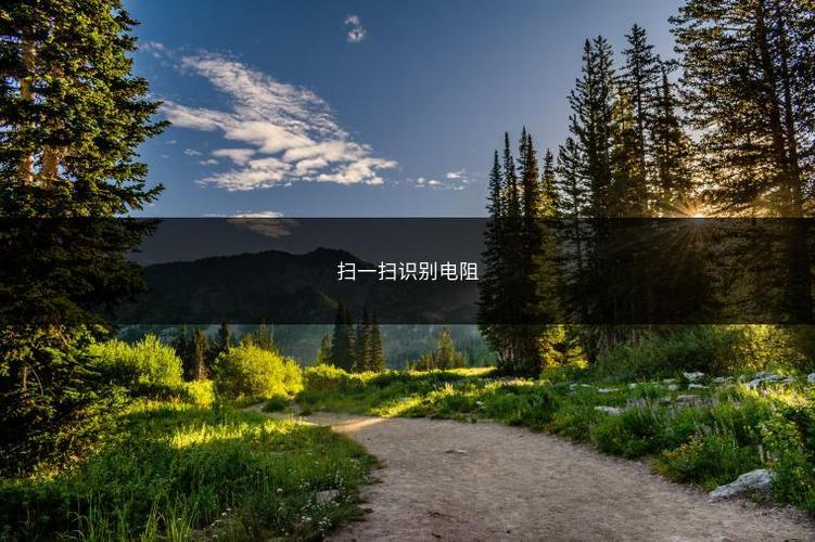 扫一扫识别电阻app