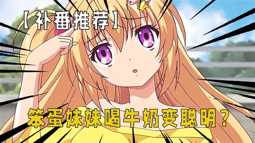 让笨蛋变聪明全集免费观看