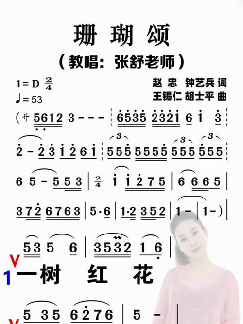 珊瑚颂徐子尧伴奏
