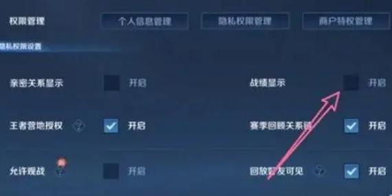 王者荣耀如何不让别人看战绩
