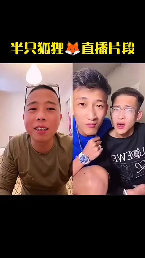 半只狐狸在哪个平台直播
