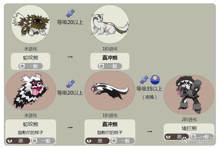 口袋进化1001口袋进化