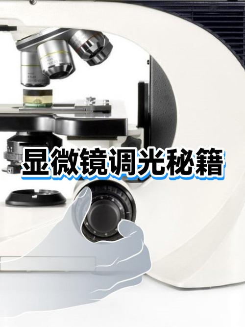 亮度调到多少对眼睛好