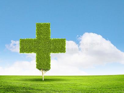 绿色十字架是什么意思