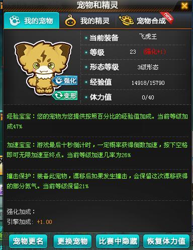 qq飞车宠物等级上限