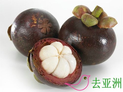 马来西亚十大特产水果