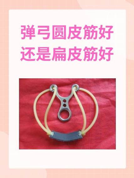 弓的寿命有多长