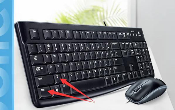 电脑中ctrl+z撤销的次数限制截图2