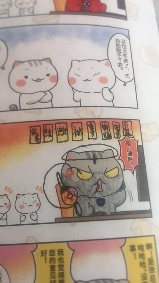 历史喵瓜子是男是女