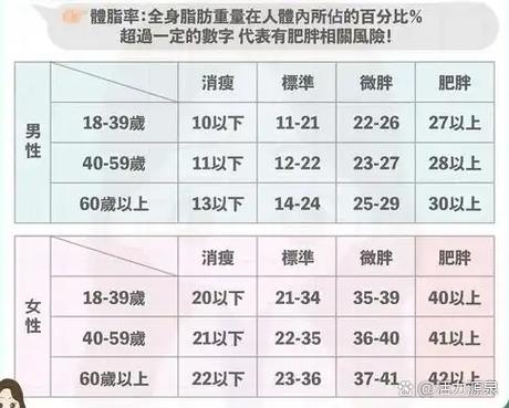 好轻体脂秤