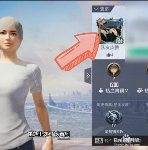 更换和平精英头像
