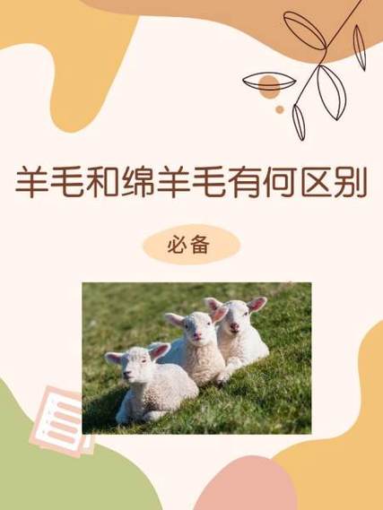 绵羊毛100%和100%绵羊毛区别