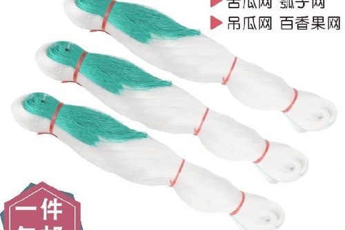 豆角网!