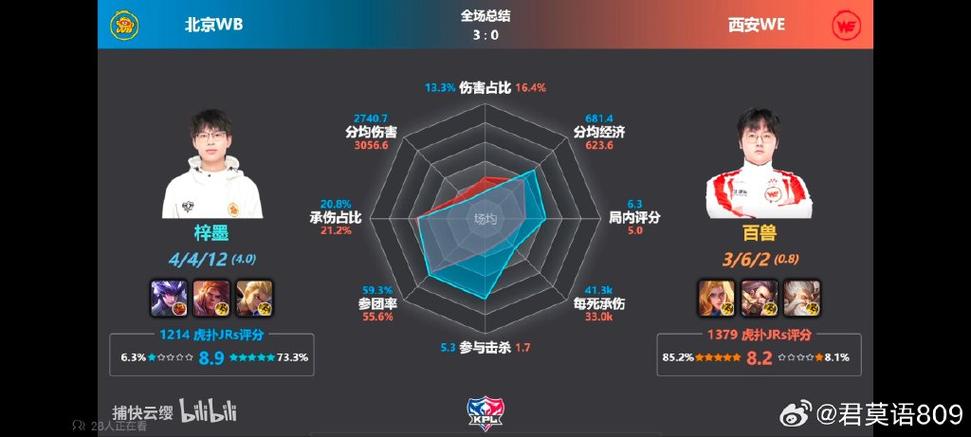 节奏是哪个队的辅助