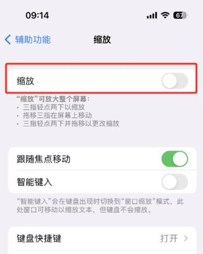 苹果手机缩放功能怎么关闭截图3