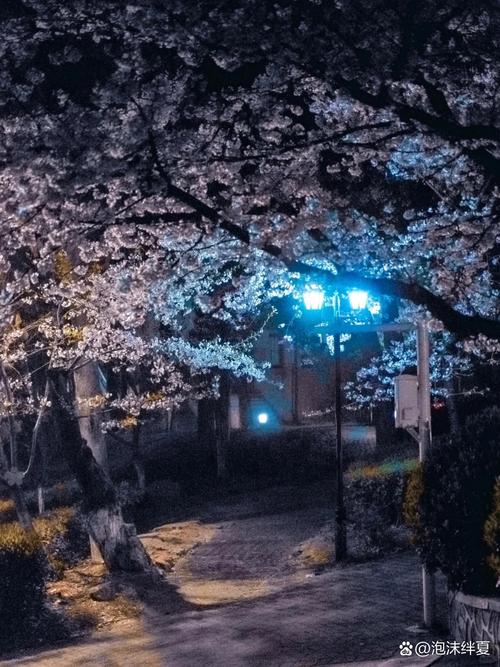 樱花校园怎么调节天亮