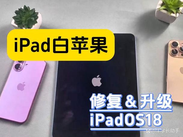 ipad升级系统后很卡怎么办
