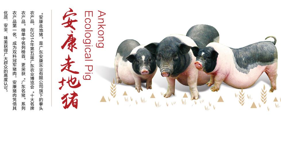 养猪宣传海报模板截图1