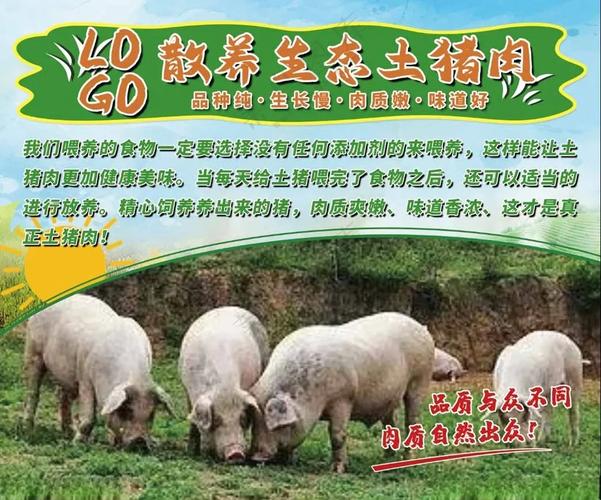 养猪宣传海报模板截图3