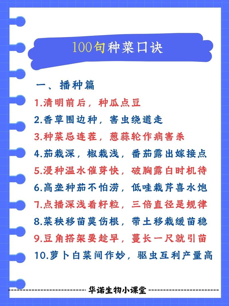 蔬菜月份顺口溜