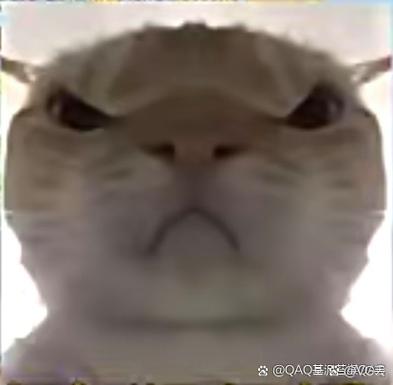 地铁逃生老鼠头像