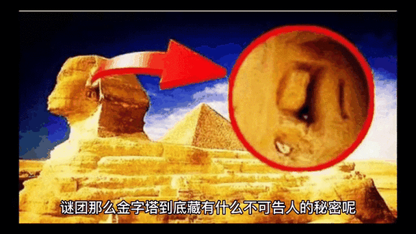 人类需求金字塔的七层内容