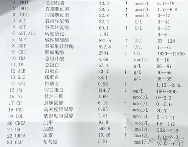 体检报告.pdf