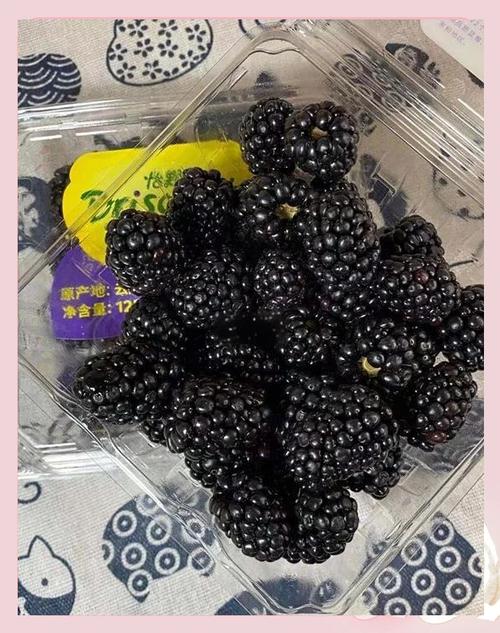 黑莓key2应用商店