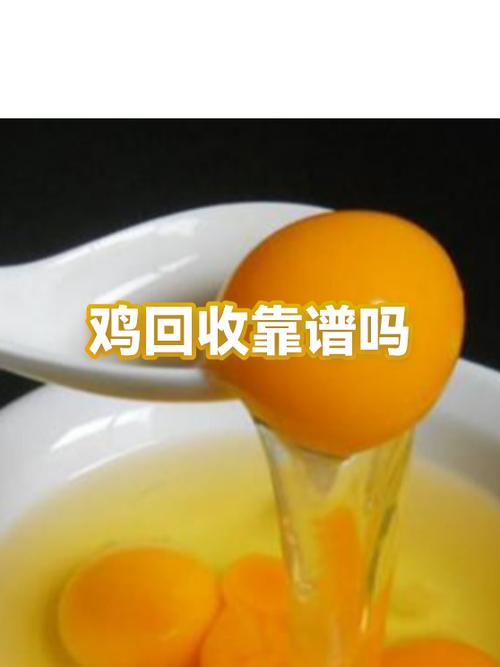 合作养殖鸡包回收项目是真的吗