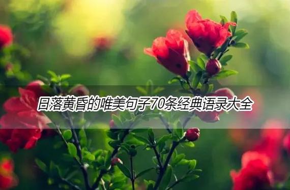 丁香的绝美佳句截图3