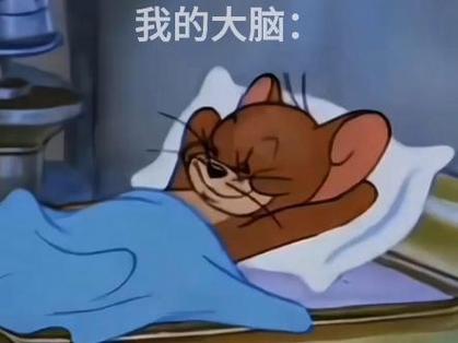 大脑要睡了表情包原图