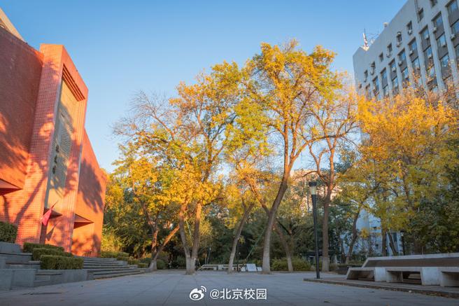 阳光在校园截图3