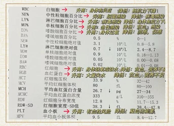 HCT是什么检查项目 HCT是什么检查项目