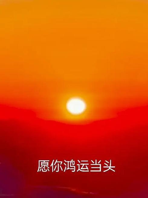 日出拍摄参数设置手机截图2