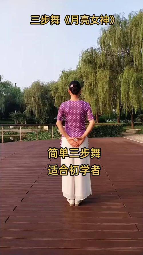 三步舞初学视频教程
