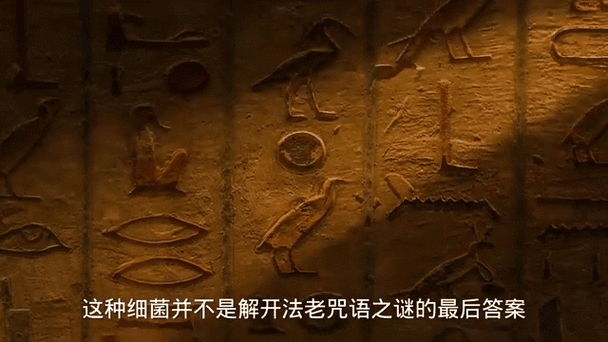 金字塔之谜法老的诅咒