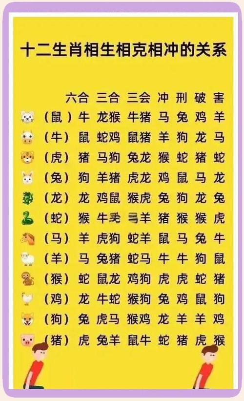 龙和兔相克还是相冲